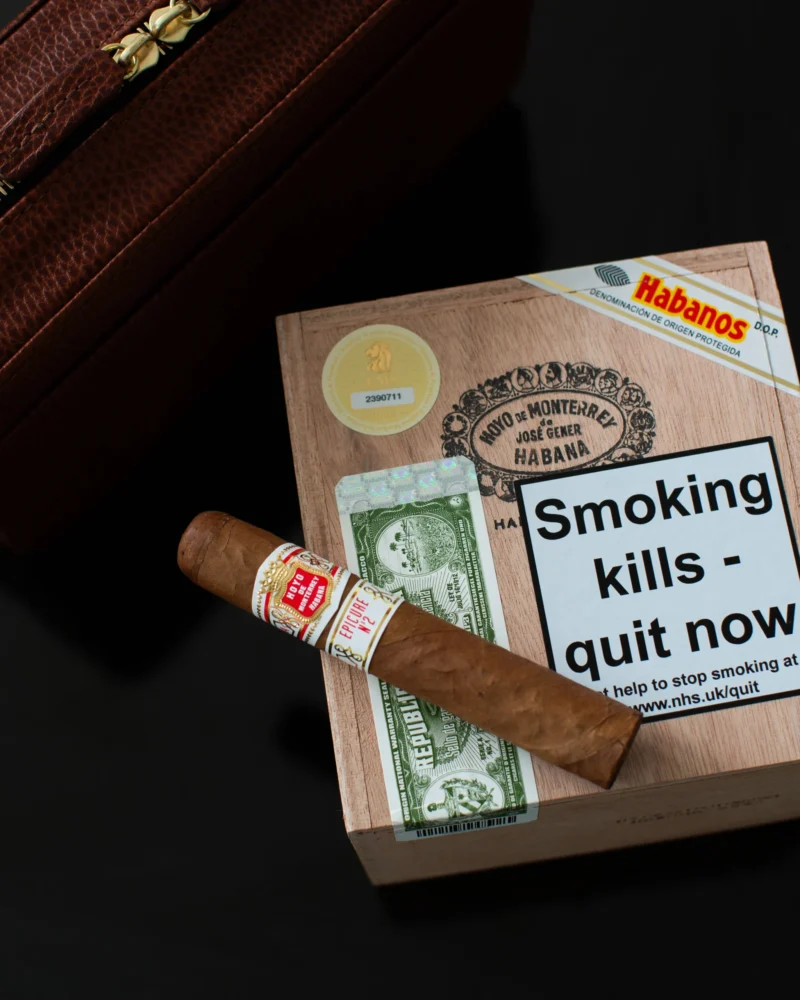 Hoyo de Monterrey Epicure No. 2