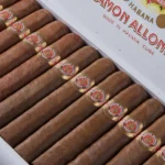 Ramon Allones Specially Selected Cigars