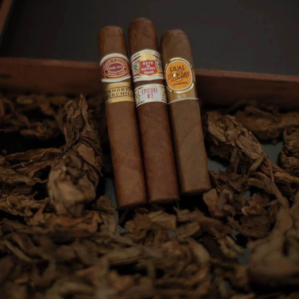 Beginners Cuban Selection Sampler