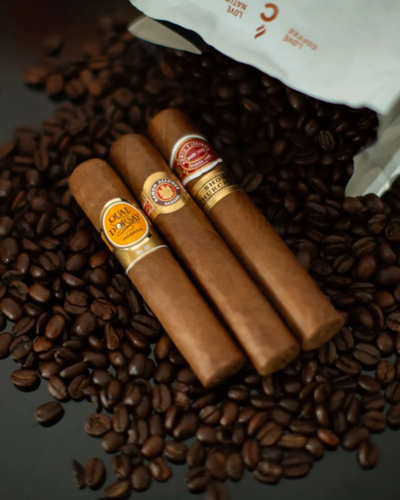 Robusto Cuban Cigar Sampler