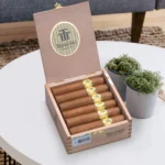 Trinidad Vigia