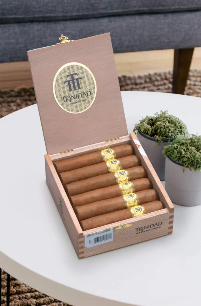 Trinidad Vigia