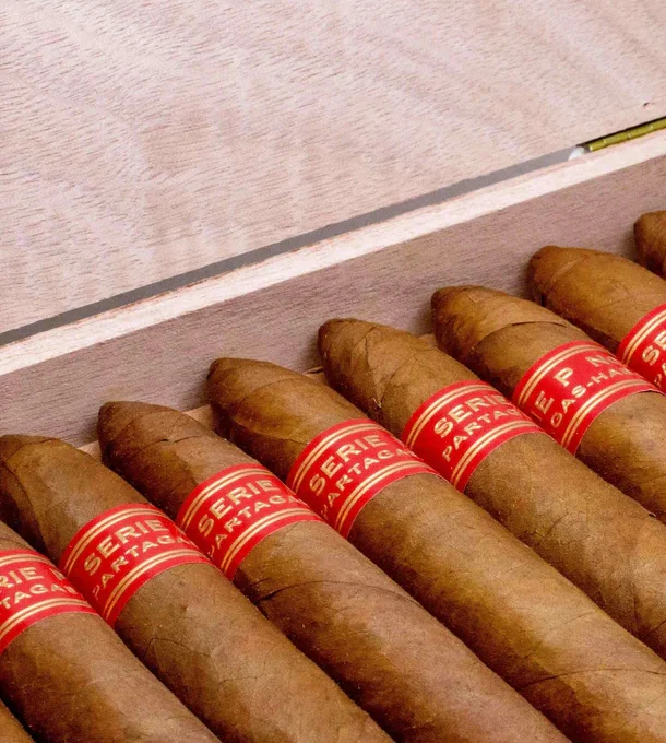 Partagas Serie P No.2