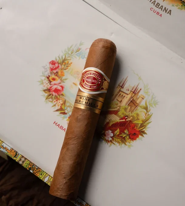 Romeo y Julieta Wide Churchill Single