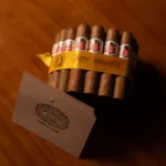 Hoyo de Monterrey Petit Robusto