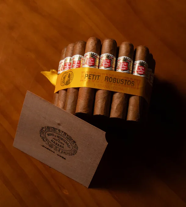 Hoyo de Monterrey Petit Robusto