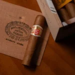 Hoyo de Monterrey Petit Robusto Cigar