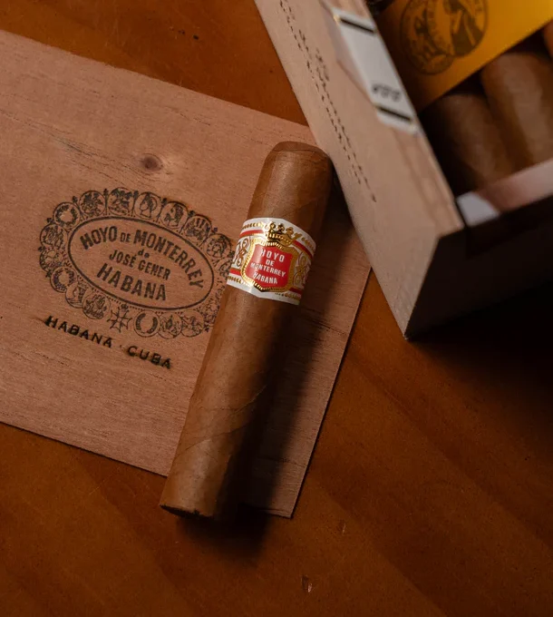 Hoyo de Monterrey Petit Robusto Cigar