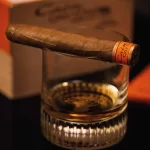 Cain Daytona Robusto Single Cigar