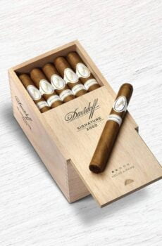 Davidoff Signature 2000 Single Cigar
