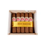 Hoyo de Monterrey Petit Robusto Cigar