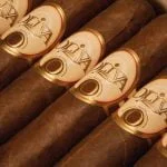 Oliva Serie O Natural Robusto Single Cigar