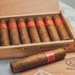 Partagas Serie D No. 5 Single Cigar