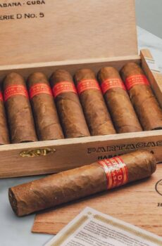 Partagas Serie D No. 5 Single Cigar