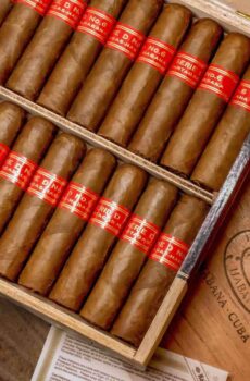 Partagas Serie D No 6 Single Cigar