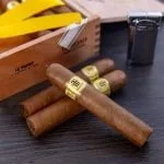 Trinidad Topes Single Cigar