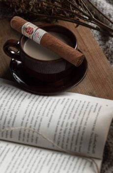 Hoyo de Monterrey Epicure No. 2 Single Cigar