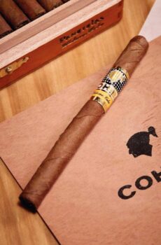 Cohiba Panetelas Single Cigar