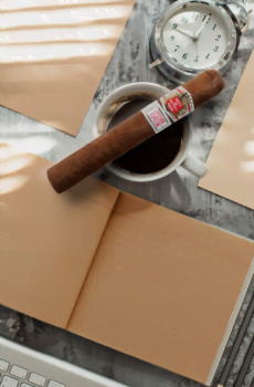 Hoyo de Monterrey Epicure Especial Cigar