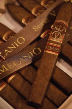 Oliva V Melanio Torpedo Cigar