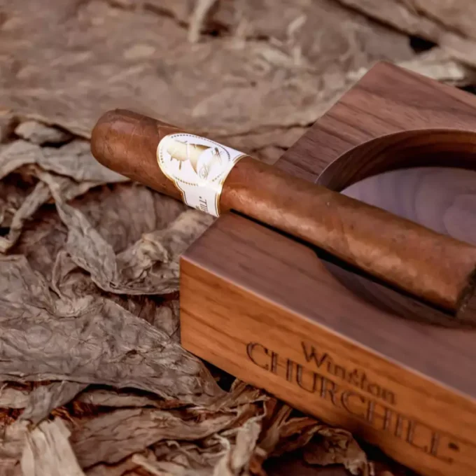 Davidoff Winston Churchill Robusto Cigar