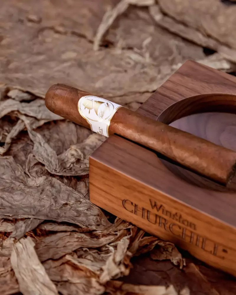 Davidoff Winston Churchill Robusto Cigar