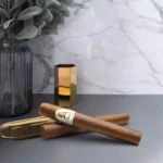 Davidoff Winston Churchill Toro Cigar