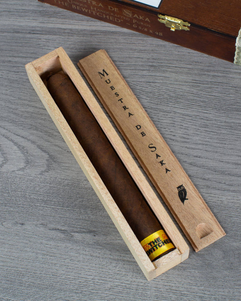 Muestra de Saka The Bewitched