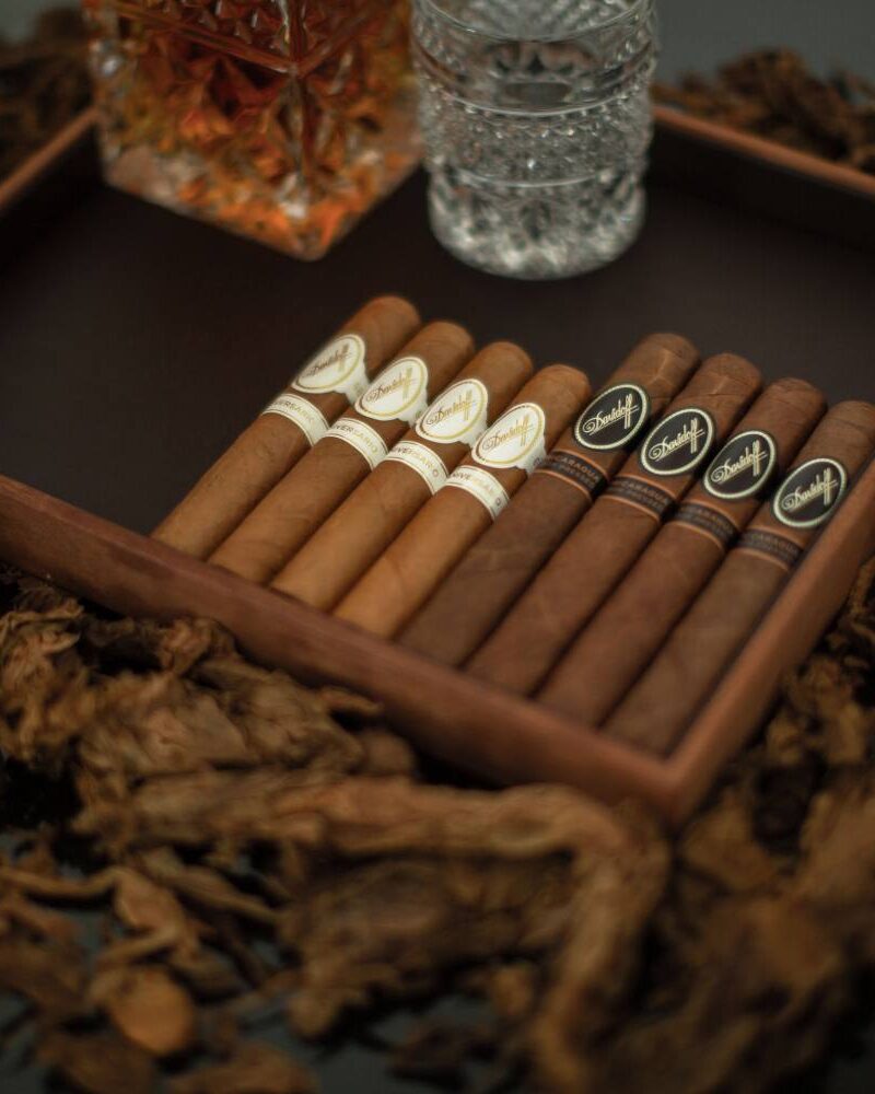 Davidoff Experience Cigar Bundle