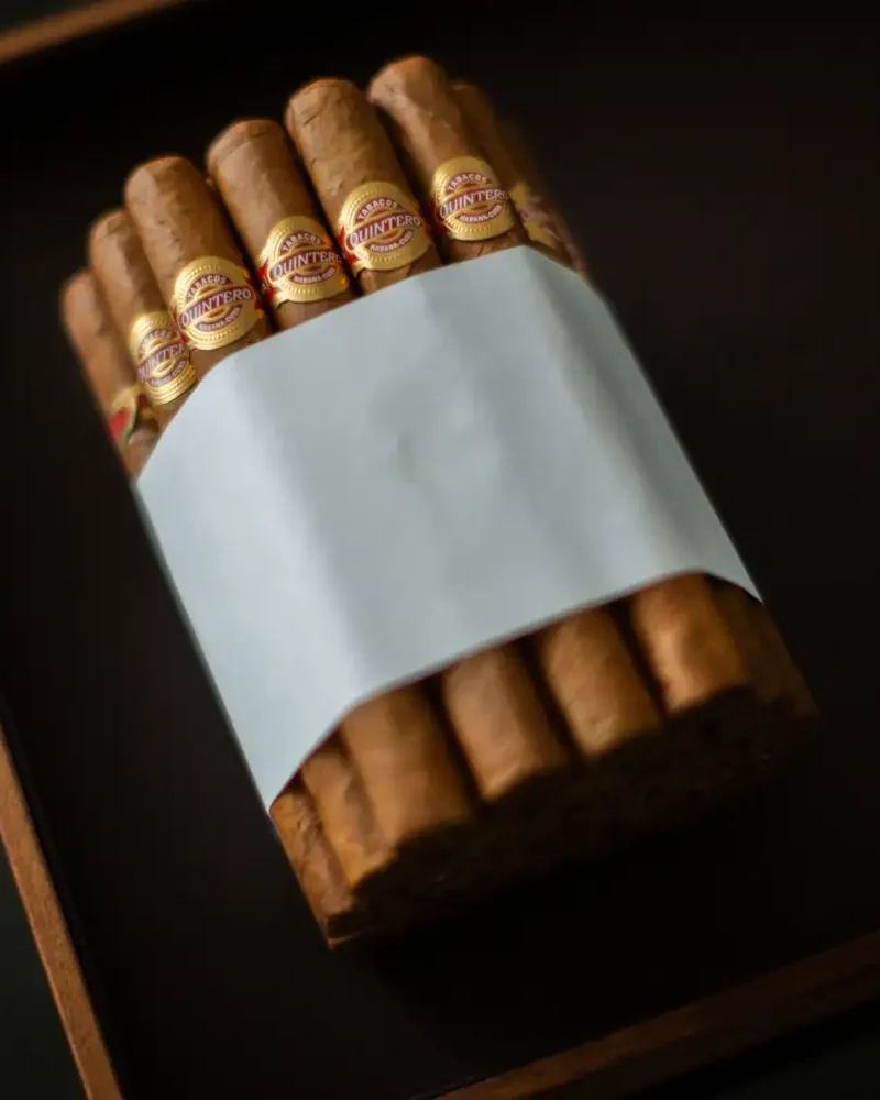 Quintero Brevas Cigars