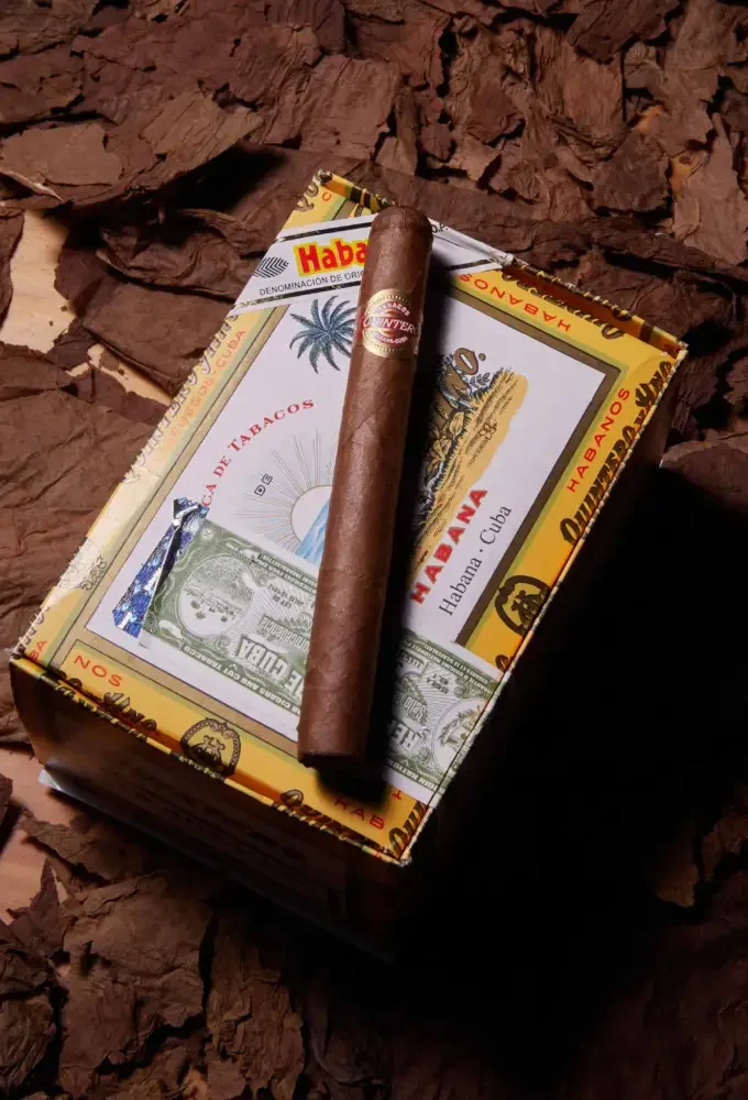 Quintero Brevas Cigar