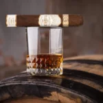 Plasencia Reserva Original Robusto