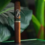 Davidoff Escurio 10th Anniversary Gran Toro Single Cigar