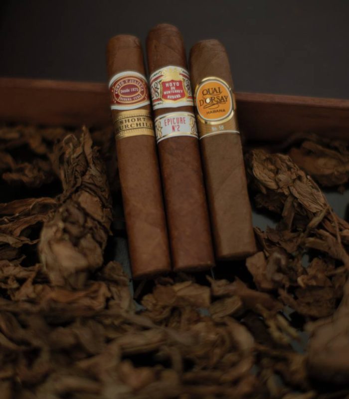 Beginners Cuban Selection Sampler