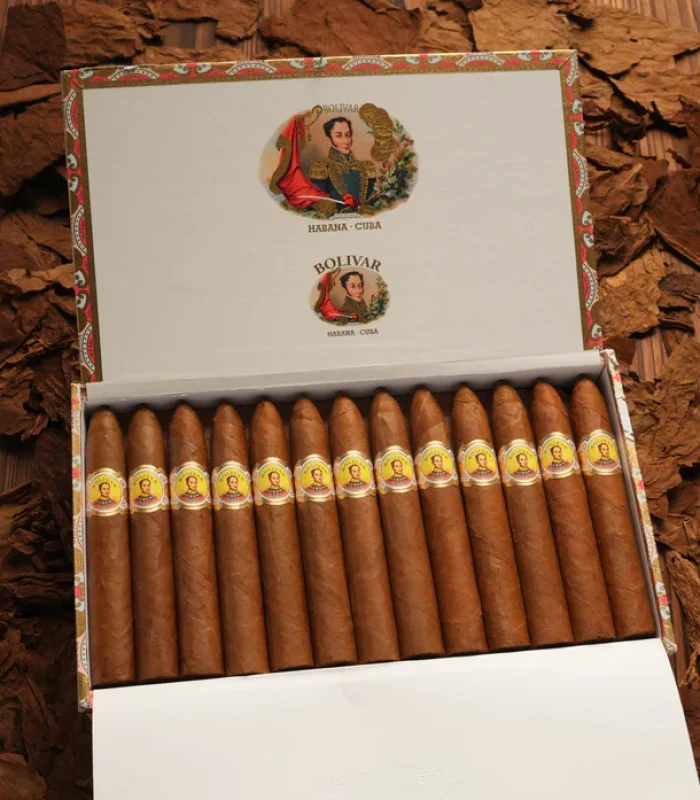 Bolivar Belicosos Finos