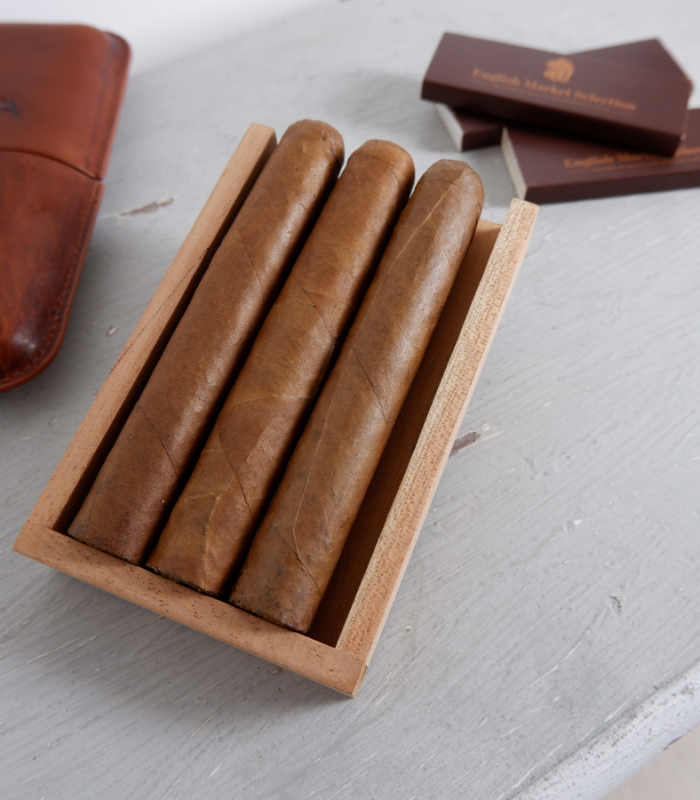 Cedarwood Guardian for Cigars
